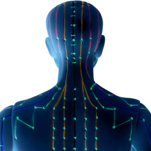 Diagram illustrating acupuncture areas