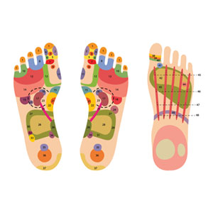 Diagram illustrating the foot